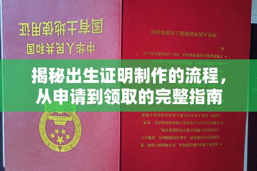 新宾揭秘出生证明制作的流程，从申请到领取的完整指南